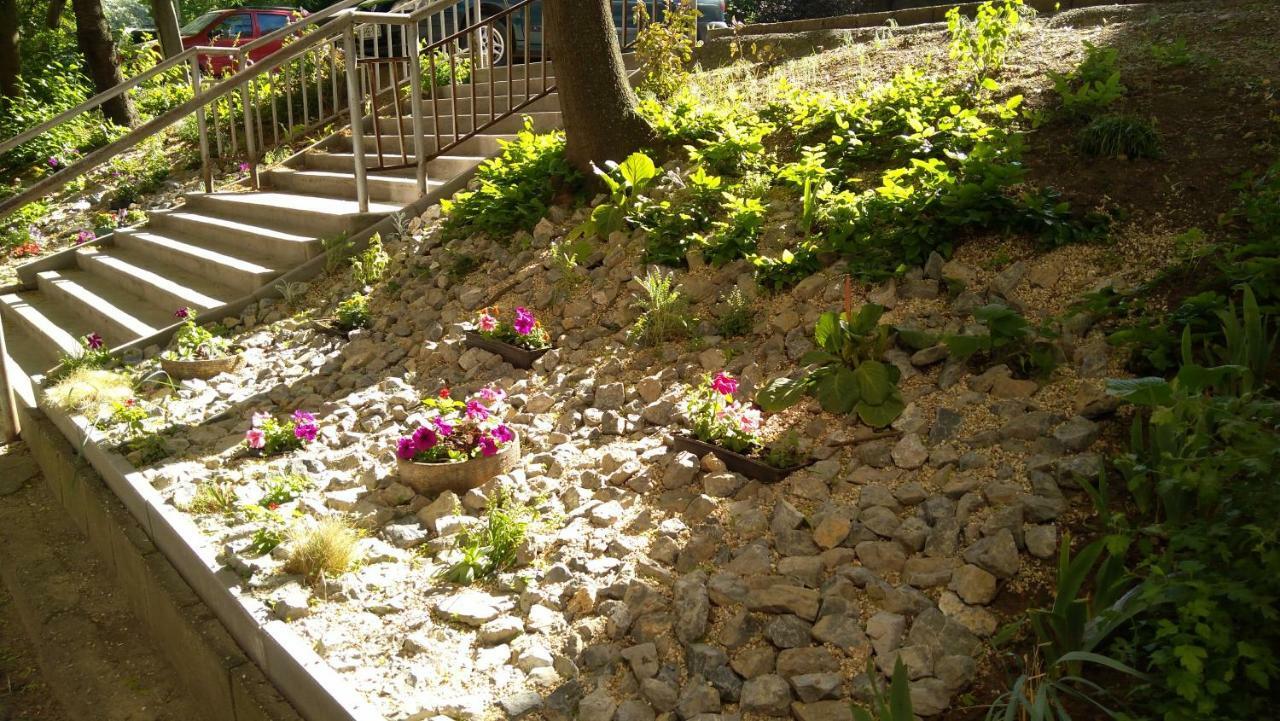 Gesztenyes Apartman Мисколк Екстериор снимка