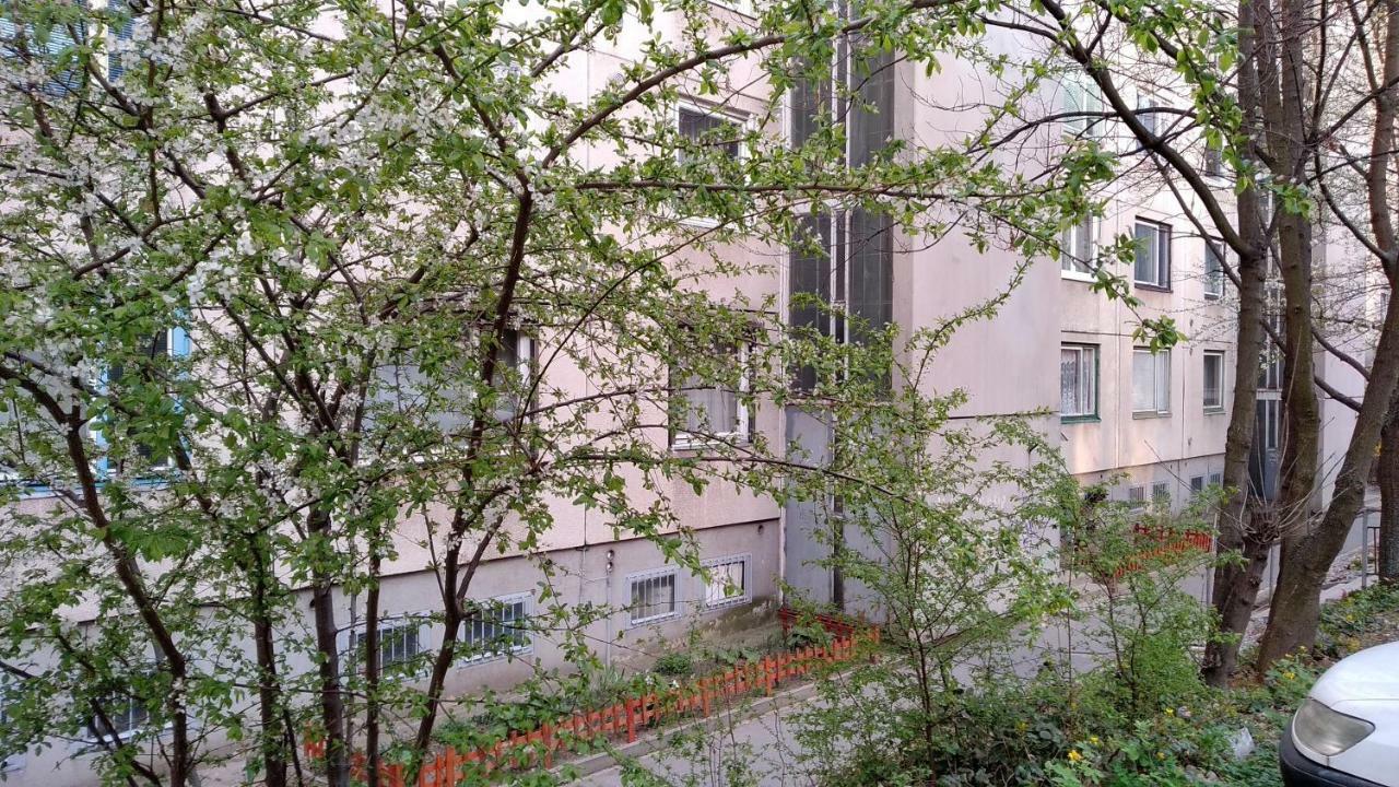 Gesztenyes Apartman Мисколк Екстериор снимка